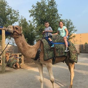 Meet your Posher, Beth